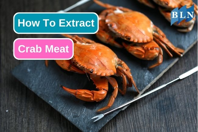 Step-by-Step Guide to Extracting Crab Meat from the Shell